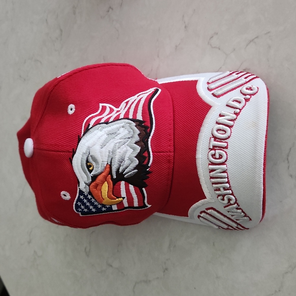 American Eagle Washington DC Hat